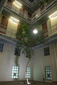 un albero al centro di un edificio con una luce di NEWWWWW THISSEION LOFTS GEORGE ad Atene