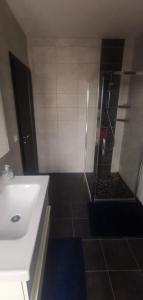 ein Badezimmer mit einem weißen Waschbecken und einer Dusche in der Unterkunft Chez manu in Voellerdingen