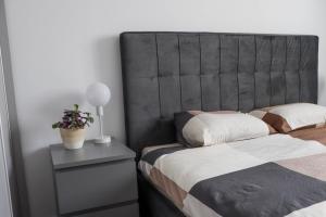 a bedroom with a bed with a gray headboard at Ivory Pipera in Voluntari