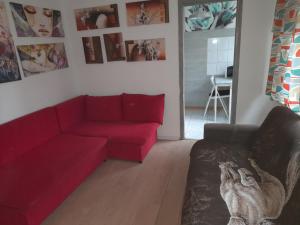 Imagen de la galería de APARTAMENT LOTNIKÓW 7, en Płock