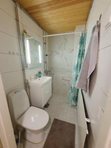 羅瓦涅米的住宿－Central Studio - Self Check-In，一间带卫生间和水槽的小浴室
