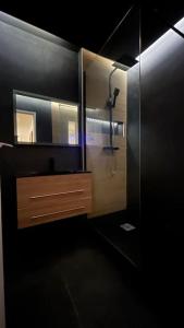Bilik mandi di Appartement cosy - 3 chambres - 700m centre Ecully