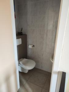 a small bathroom with a toilet and a sink at loft appartement met 3 slaapkamers en gratis parking in Ichtegem