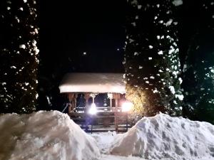 un camión de comida cubierto de nieve por la noche en Casa din livada, en Borşa
