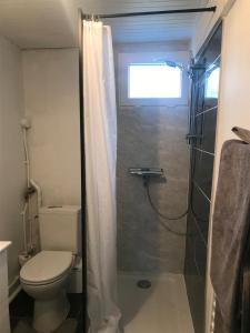 La salle de bains est pourvue de toilettes et d'une douche en verre. dans l'établissement Petite maison avec jardin face mer, à Agon-Coutainville