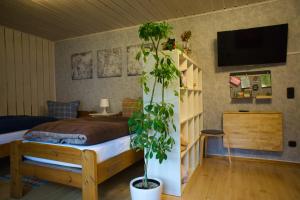 sypialnia z łóżkiem i doniczką w obiekcie Gemütliche Wohnung mit Neckarblick w mieście Eberbach