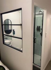 een badkamer met een spiegel en een toilet bij Logement de charme Toulouse in Toulouse