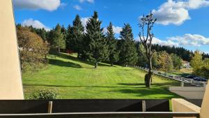 a view of a green field with trees on a hill at Apartment mit 2 Zimmer im Bayerischen Wald in Sankt Englmar