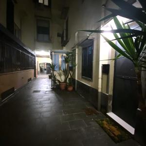einen dunklen Flur mit Topfpflanzen in einem Gebäude in der Unterkunft All-in in Neapel