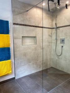 フィンケンベルクにあるMOUNTAIN HOME apartmentのバスルーム(ガラスドア付きのシャワー付)