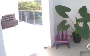 um quarto com uma cadeira e uma planta ao lado de uma janela em La Reserva de UBA em Mompós