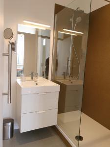 een badkamer met een douche, een wastafel en een spiegel bij Le Chateau Blanc in Verviers