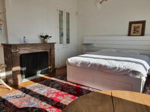 ein Schlafzimmer mit einem Bett und einem Kamin in der Unterkunft Le Chateau Blanc in Verviers