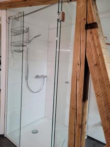 Koupelna v ubytování Ferienwohnung Dornbirn City