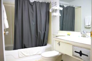 een badkamer met een douchegordijn, een toilet en een wastafel bij Hotel O Oskaloosa - Hwy 63/92 in Oskaloosa