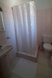 uma casa de banho com um chuveiro, um WC e um lavatório. em Ορεινό καταφύγιο Παρνασσού em Amfikleia