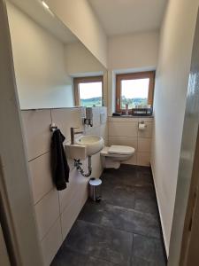 a bathroom with a sink and a toilet at Ferienwohnung mit 3 Schlafzimmern Hartl Hof in Breitenberg