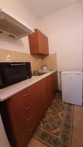 uma pequena cozinha com um lavatório e um micro-ondas em Ορεινό καταφύγιο Παρνασσού 2 em Amfikleia
