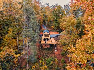 ガトリンバーグにあるSecluded Mtn view New! 10 mins to Gatlinburg or Parkの森の中の家屋