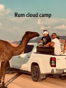a camel standing in the back of a white truck at Rum cloud camp in Wadi Rum