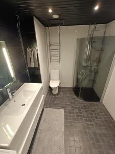 La salle de bains est pourvue de toilettes, d'un lavabo et d'une douche. dans l'établissement Big 88m2 apartment in the center, à Rovaniemi