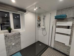 a bathroom with a shower with a glass door at Le Tilleul in Sciez
