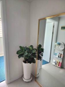 a bathroom with a mirror and a potted plant at Blue moon stay in Incheon