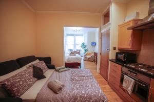 Lovely&Bright Studio Flat Close to Central London في لندن: غرفة معيشة مع أريكة ومطبخ