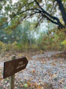 a sign on a wooden pole in a forest at Forestic Lietuva in Vilionys
