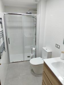 a white bathroom with a shower and a toilet at Exclusiva vivienda en el centro de Salamanca in Salamanca