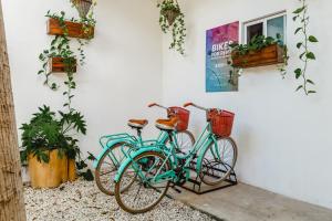 two bikes parked next to a wall with plants at Mezcal Hostel in Cancún