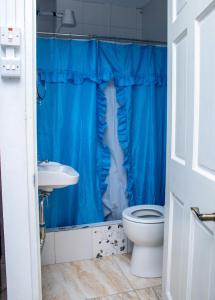 La salle de bains est pourvue d'un rideau de douche bleu et de toilettes. dans l'établissement PRI Studio Apartment, à Arnos Vale