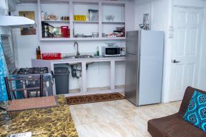 eine Küche mit Kühlschrank und Spüle in der Unterkunft PRI Studio Apartment in Arnos Vale