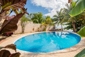 a large blue swimming pool with palm trees around it at Seáak Cancun Rentals in Cancún