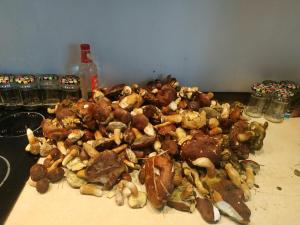 uma pilha de comida numa mesa ao lado de uma garrafa em Wiosna nad jeziorem, grill, ognisko em Barkowice