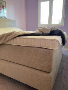 Łóżko lub łóżka w pokoju w obiekcie Appartement BlancoSol in La Mata