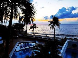 widok na plażę z palmami i basenem w obiekcie Hermoso Apto. frente a Playa Salguero - Santa Marta w mieście Puerto de Gaira