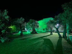 a group of trees in a park at night at TERRY'S VILLA in Mákri