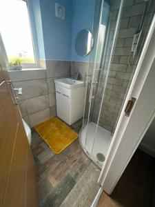 a bathroom with a shower and a toilet and a sink at Cozy cottage in Almondbury