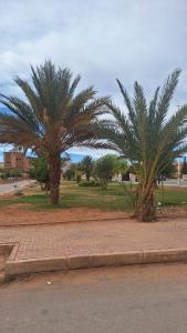 Deux palmiers sur un trottoir en briques à côté d'une rue dans l'établissement Sahrawi Abdo, à Errachidia