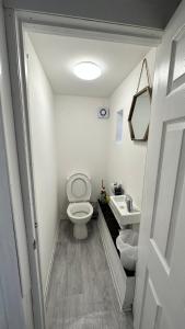 małą łazienkę z toaletą i umywalką w obiekcie Victorian/modern house w mieście Newport