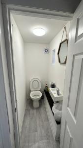 a small bathroom with a toilet and a sink at Victorian/modern house in Newport
