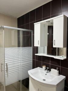 a bathroom with a sink and a shower and a mirror at Luxury apartment in Bitola