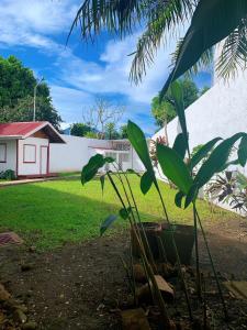 uma planta num quintal ao lado de uma casa em CASA 8 Bed&Breakfast em San José