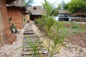 a stone path in front of a house at Zanzigo in Nungwi