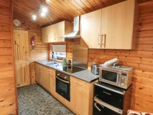una cocina con estufa y microondas en Sycamore Lodge, en Saltburn-by-the-Sea