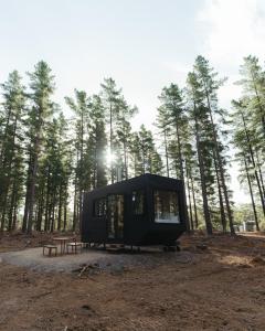 a tiny house sitting in the middle of a forest at CABN Kuitpo Forest in Kuitpo