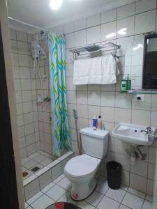 a bathroom with a toilet and a shower and a sink at Baguio Breeze Condo2 in Baguio