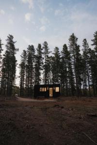 uma pequena cabana preta no meio de uma floresta em CABN Kuitpo Forest em Kuitpo