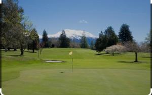 a view of a golf course with a green at Methven Retreat in Methven